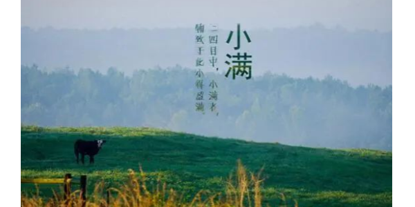 今日小滿丨耀先愿你的生活，幸福美滿！