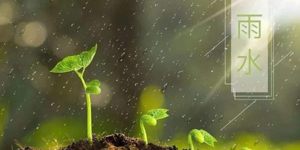 雨水 | 潤澤萬物，耀先環(huán)境愿你得綿遠深情